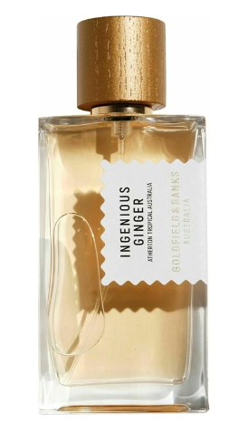 Ingenious ginger - 100ml - Tilbehør - Helt Dilla AS