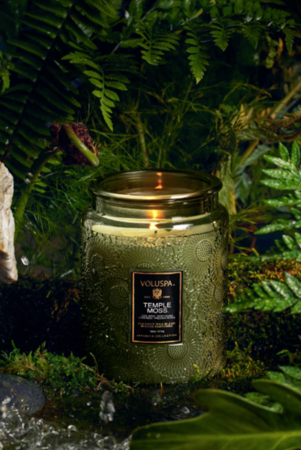 Temple Moss Large Jar Candle 18oz - Tilbehør - Helt Dilla AS