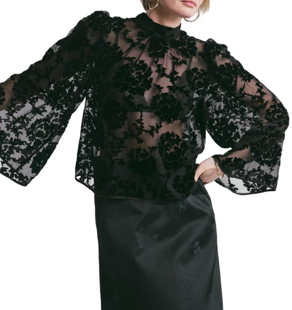 Velvet Blouse