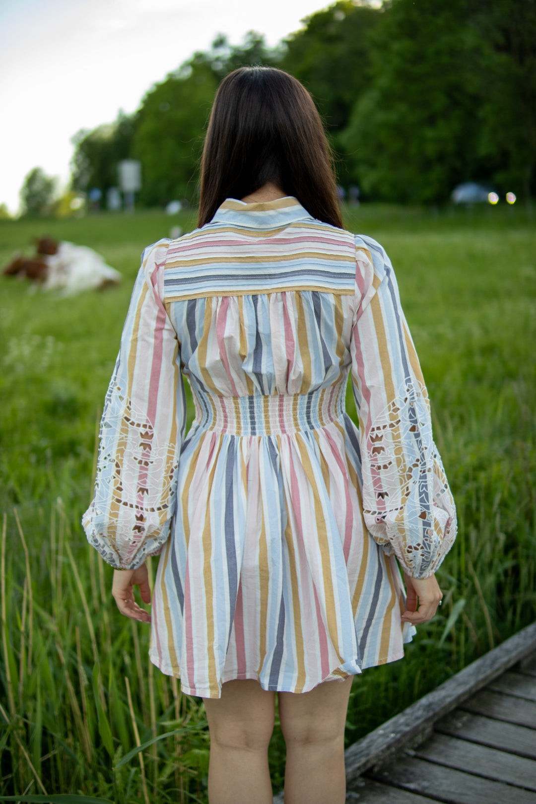 Poplin Collared Dress - Bold Stripes - Kjoler - Helt Dilla AS